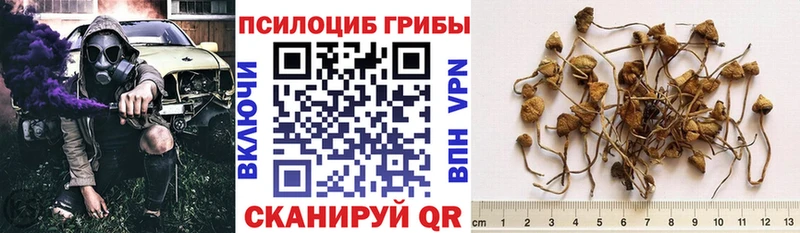 Псилоцибиновые грибы Magic Shrooms  Салаир 